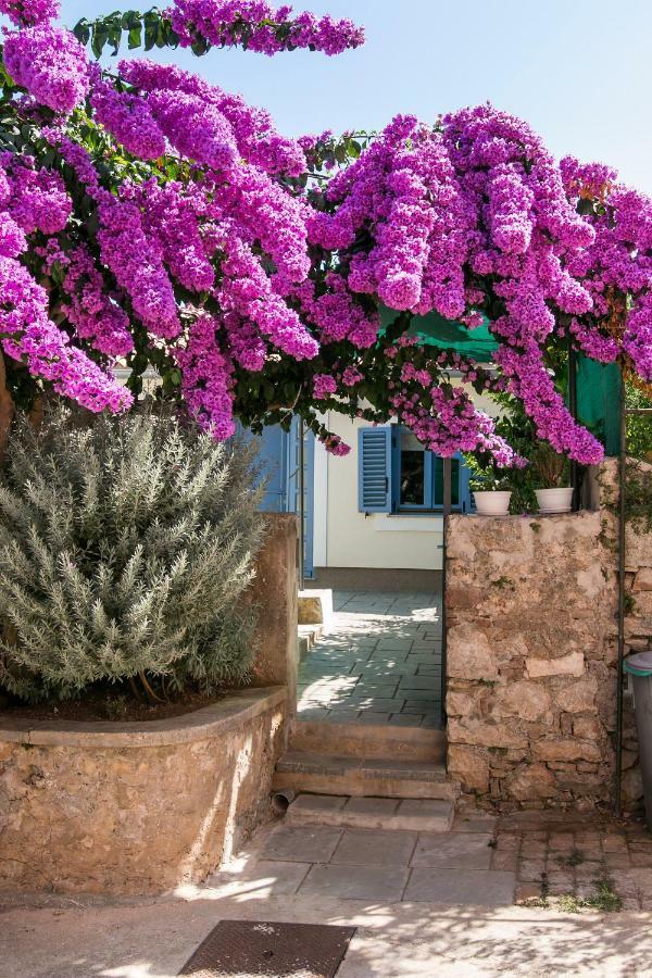 Apartments Relax Veli Lošinj المظهر الخارجي الصورة
